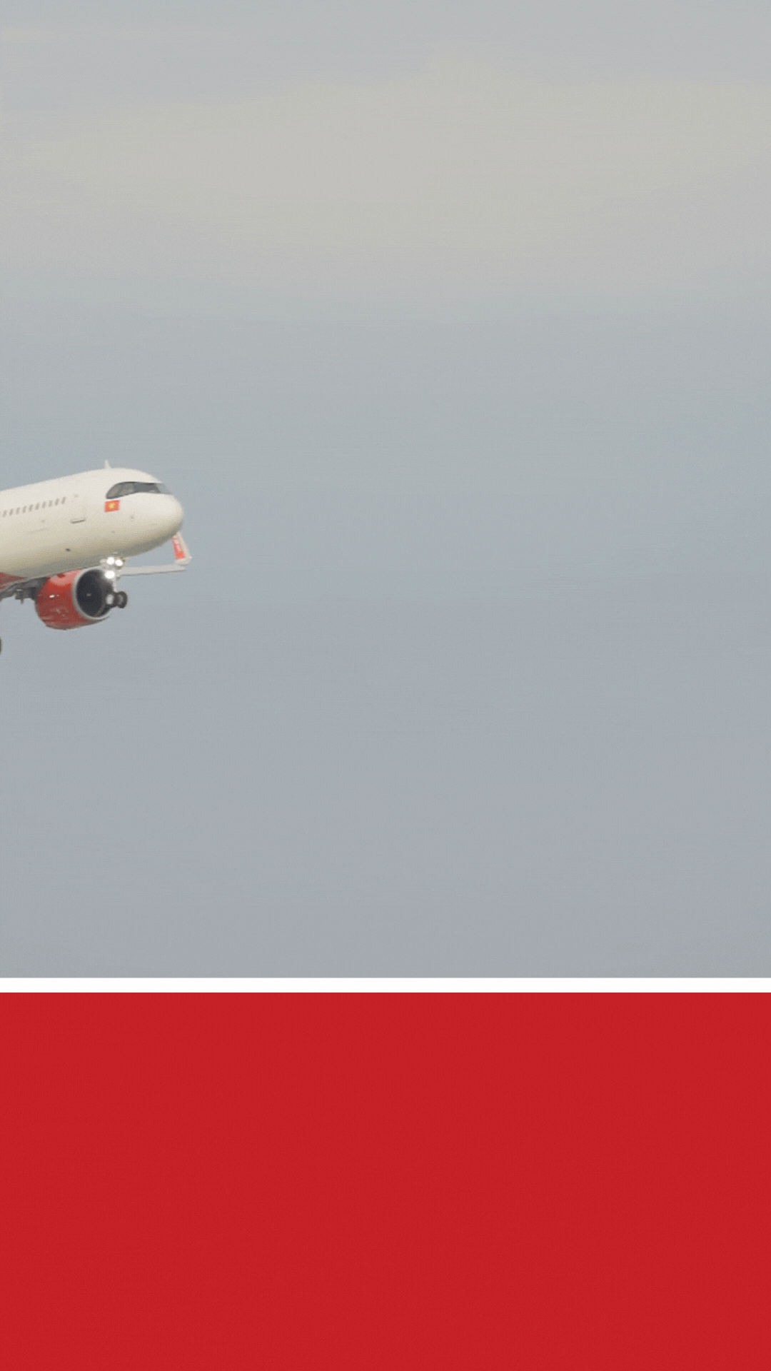 Vietjet Air Case